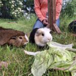 https://tsv-muldental.de/wp-content/uploads/2026/08/742266846_27370845822588108_903332658542952336_n.jpg