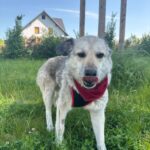 https://tsv-muldental.de/wp-content/uploads/2026/08/745084786_27420639150942108_7173216290522004944_n.jpg