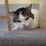 https://tsv-muldental.de/wp-content/uploads/2026/08/747669603_27443214515351238_6221337425391639557_n.jpg