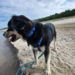 https://tsv-muldental.de/wp-content/uploads/2026/08/748829445_27431664143172942_7051509471693808013_n.jpg