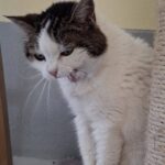https://tsv-muldental.de/wp-content/uploads/2026/08/749651998_27443218488684174_7318377681778657507_n.jpg