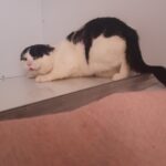 https://tsv-muldental.de/wp-content/uploads/2026/10/1000450653.jpg