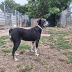 https://tsv-muldental.de/wp-content/uploads/2026/10/767268728_27758202997185720_9004980918496299241_n.jpg