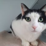 https://tsv-muldental.de/wp-content/uploads/2026/10/795945996_28209043548768327_2576545904446488170_n.jpg