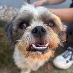 https://tsv-muldental.de/wp-content/uploads/2026/10/796543185_28209402155399133_8129677823158819667_n.jpg