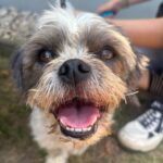 https://tsv-muldental.de/wp-content/uploads/2026/10/808614270_28209403945398954_8967415068059763754_n.jpg