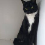 https://tsv-muldental.de/wp-content/uploads/2026/10/838844974_28453289061010440_7379053365654259564_n.jpg